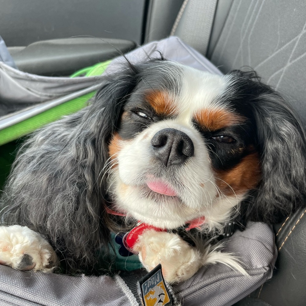 Meet your Posher, Katelyn